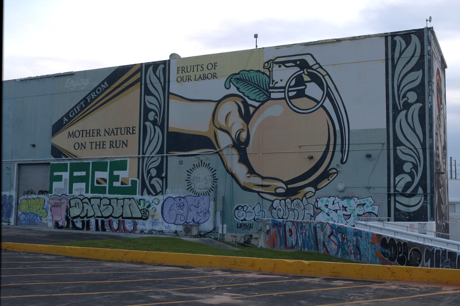 Wynwood mural