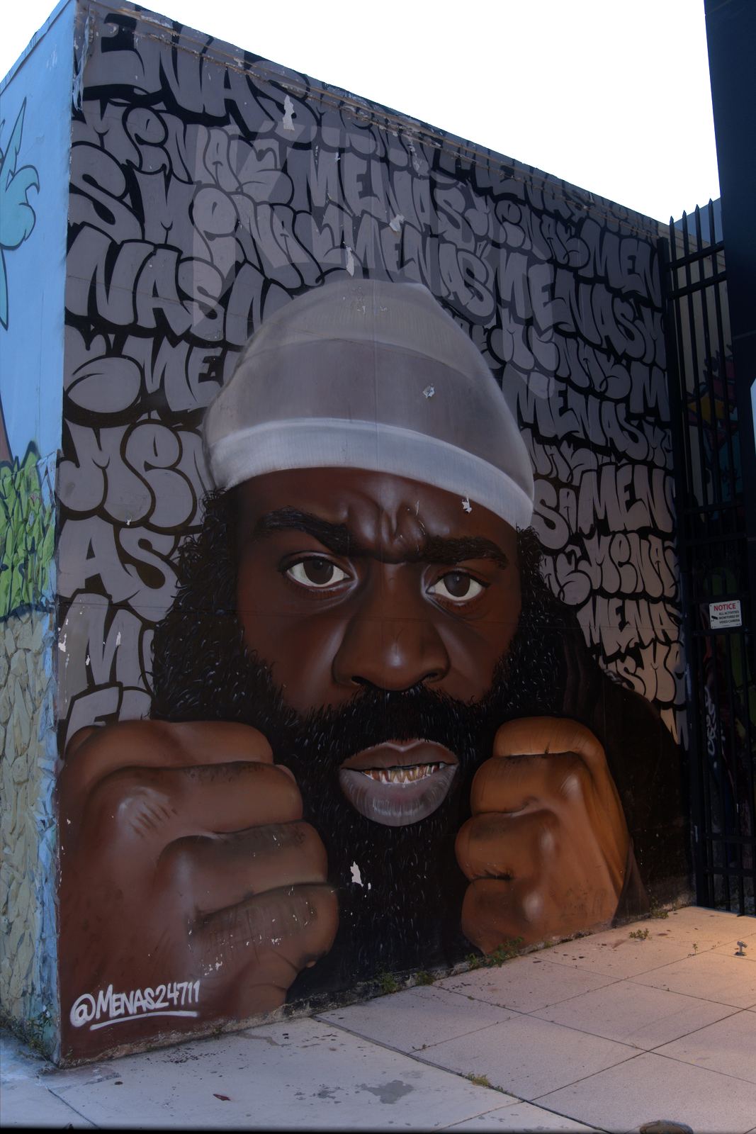 Wynwood mural